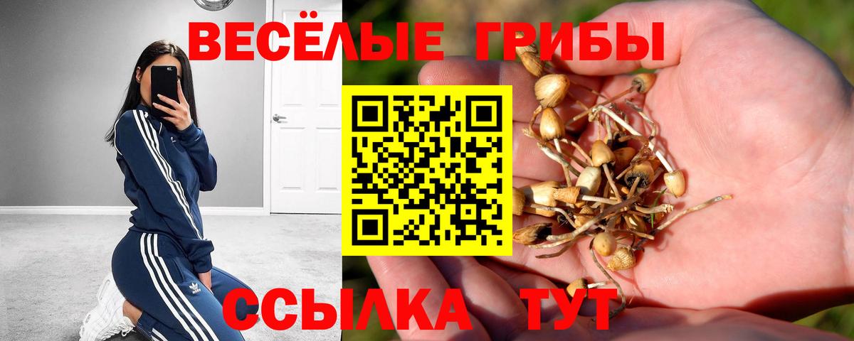 Галлюциногенные грибы Magic Shrooms Югорск